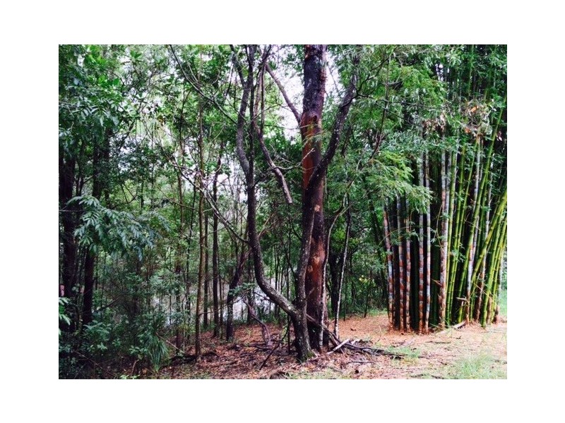 79 Mystery Road, Guanaba QLD 4210