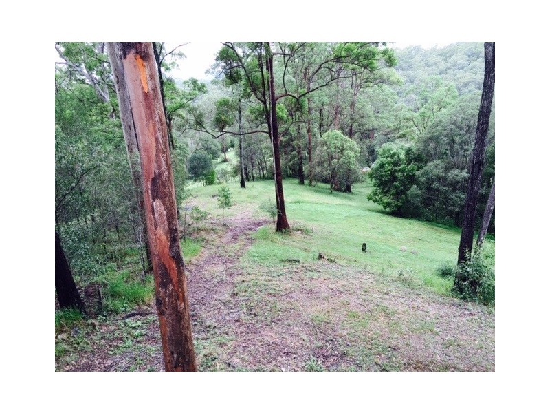 79 Mystery Road, Guanaba QLD 4210
