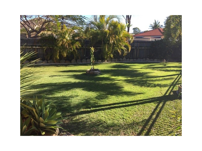 3 Hollyfern Court, Oxenford QLD 4210