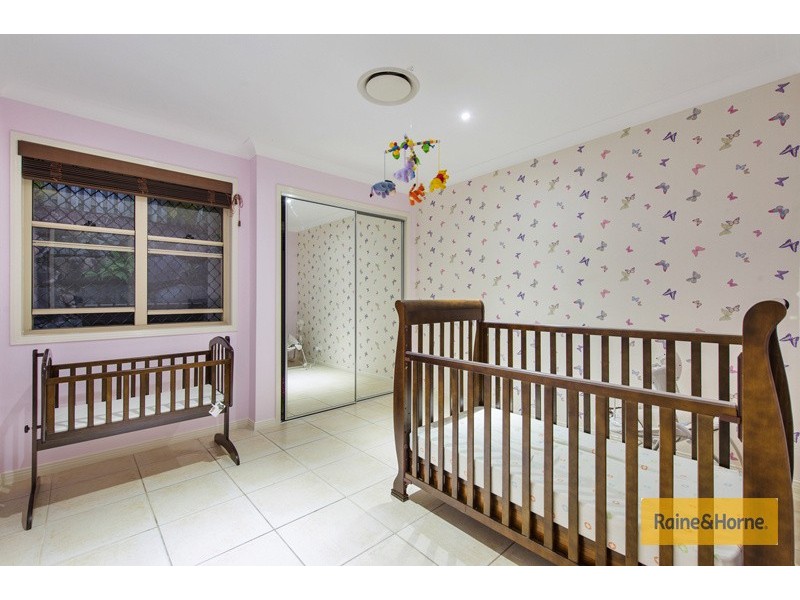 6 McRae Circuit, Pacific Pines QLD 4211