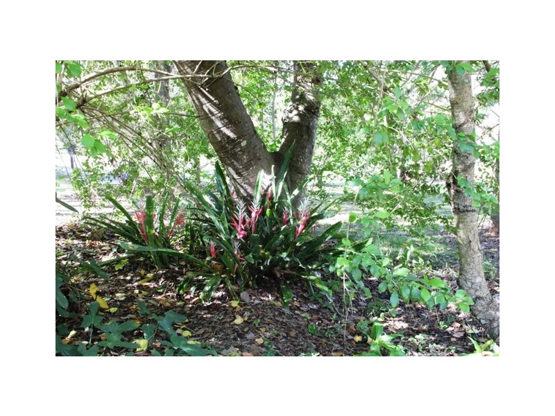 279 Birds Road, Guanaba QLD 4210