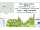 Lot 6 London Circuit, Torrington QLD 4350