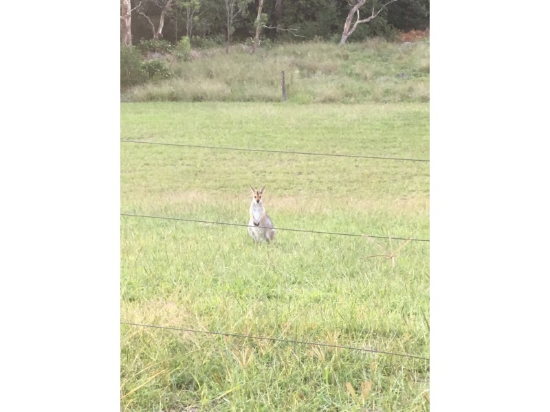 Lot 3 Echidna Cresent, Top Camp QLD 4350