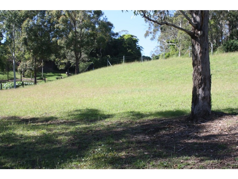 Lot 3 Echidna Cresent, Top Camp QLD 4350