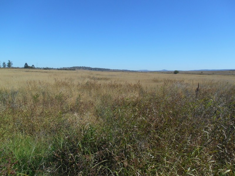 ” Downgate”, Nobby QLD 4360