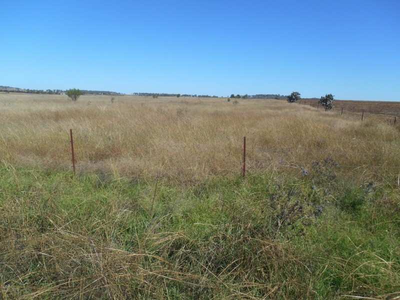 ” Downgate”, Nobby QLD 4360