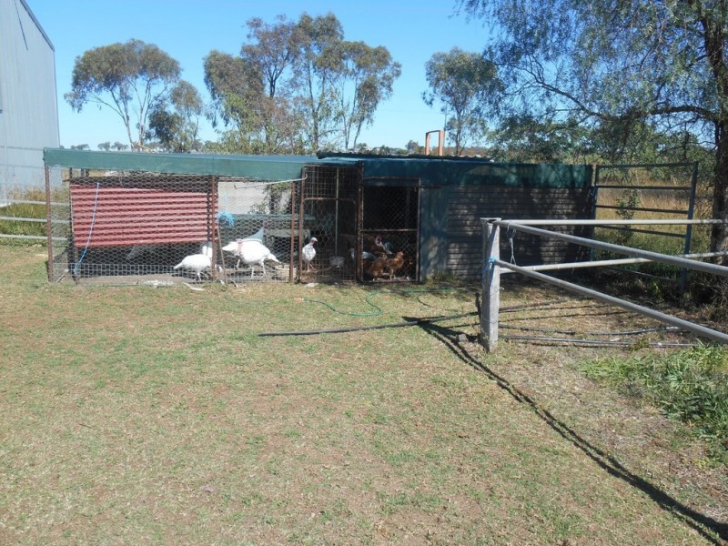 ” Downgate”, Nobby QLD 4360