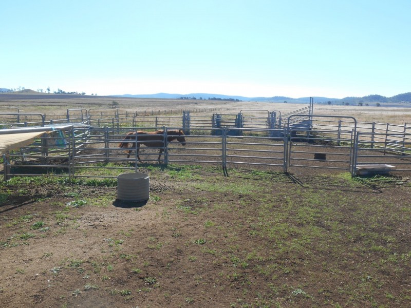 ” Downgate”, Nobby QLD 4360