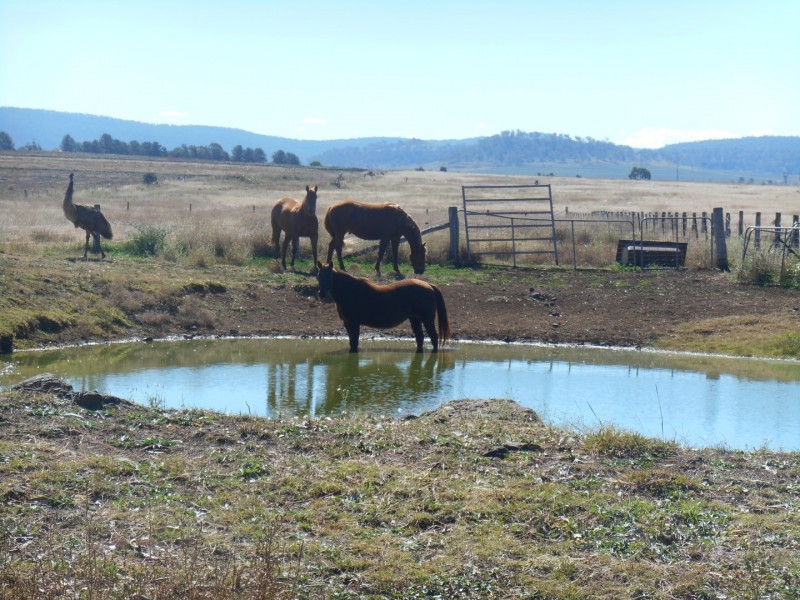 ” Downgate”, Nobby QLD 4360