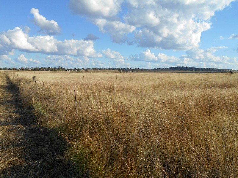 ” Downgate”, Nobby QLD 4360