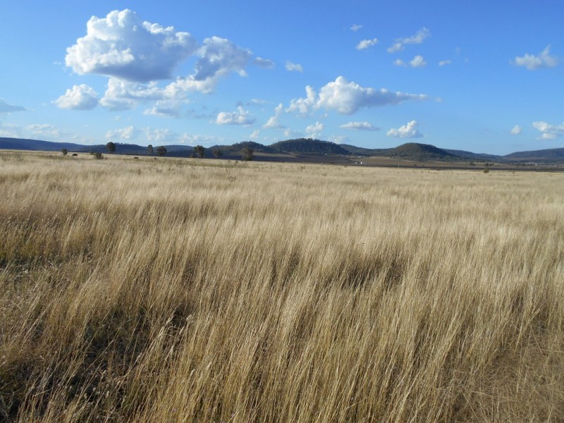 ” Downgate”, Nobby QLD 4360