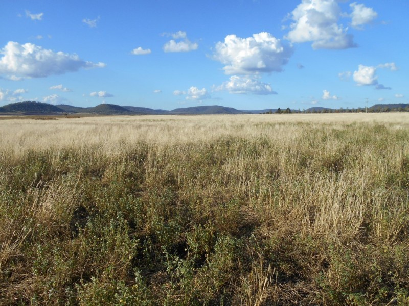 ” Downgate”, Nobby QLD 4360