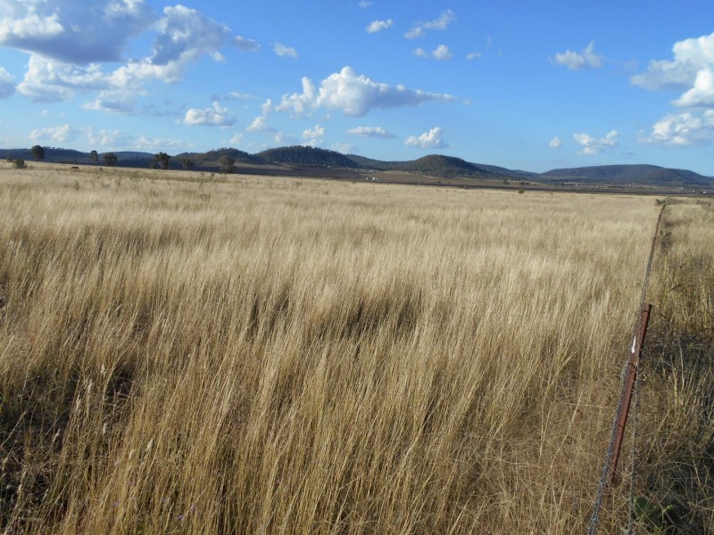 ” Downgate”, Nobby QLD 4360