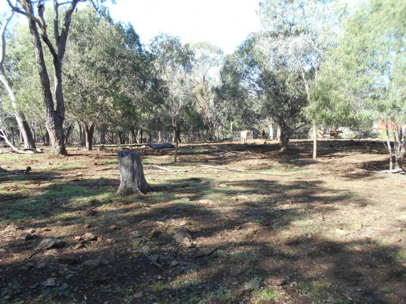 16 Wilga Avenue, Oakey QLD 4401