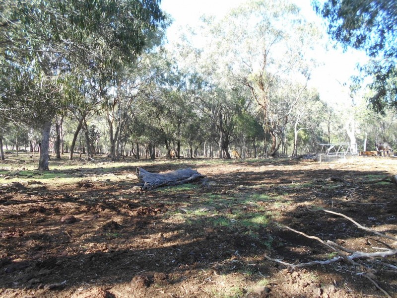 16 Wilga Avenue, Oakey QLD 4401