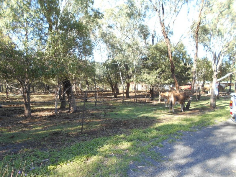 16 Wilga Avenue, Oakey QLD 4401