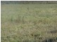 Lot 3 ALLORA CLIFTON ROAD, Allora QLD 4362