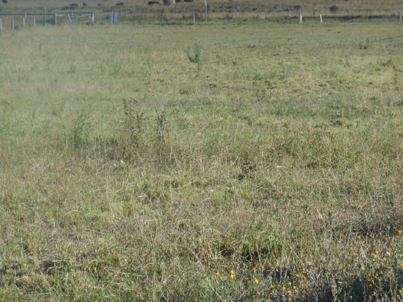 Lot 3 ALLORA CLIFTON ROAD, Allora QLD 4362