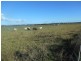 Lot 3 ALLORA CLIFTON ROAD, Allora QLD 4362
