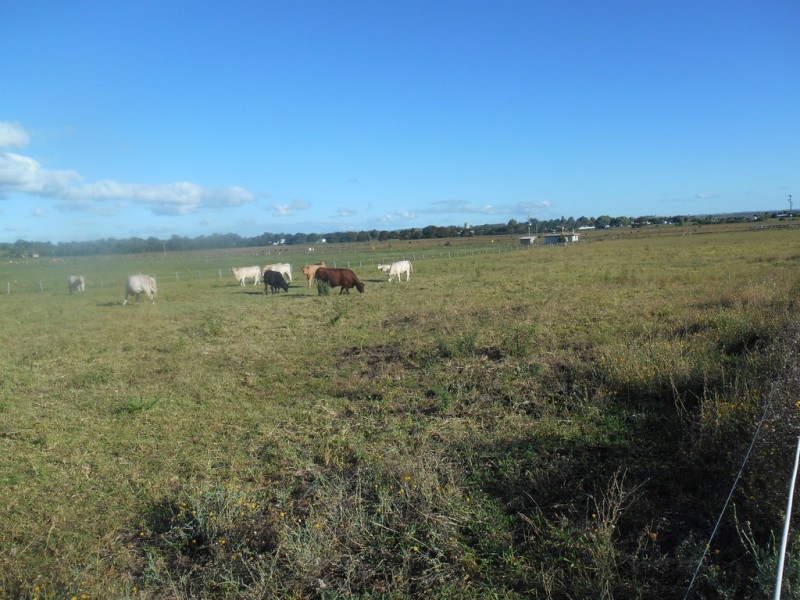 Lot 3 ALLORA CLIFTON ROAD, Allora QLD 4362