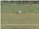 Lot 3 ALLORA CLIFTON ROAD, Allora QLD 4362