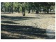 2352 LEYBURN CUNNINGHAM ROAD, Pratten QLD 4370