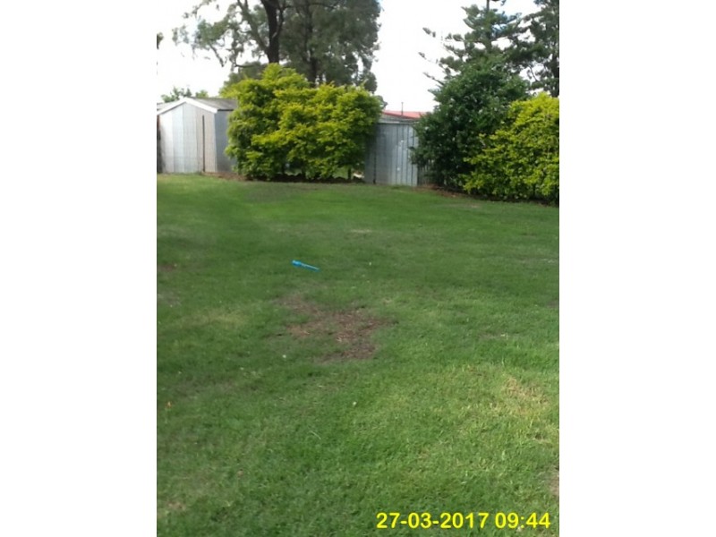9 Balfour Street, Wyreema QLD 4352