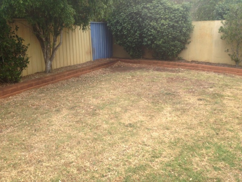 3 Gail Court, Darling Heights QLD 4350