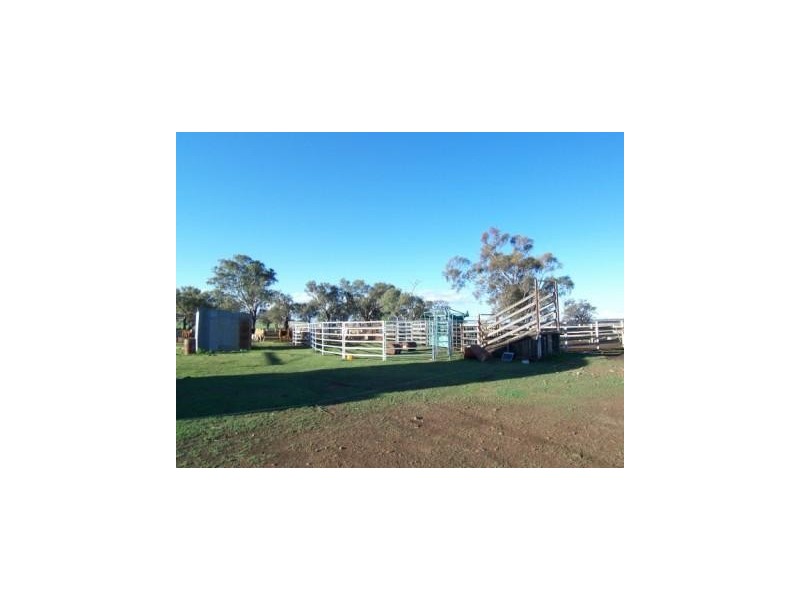 - Elphinstone Road, Allora QLD 4362