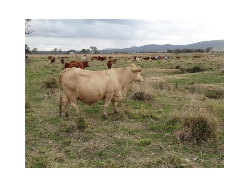 163 Rosewood Laidley Road, Rosewood QLD 4340