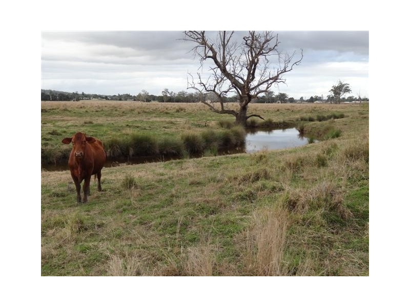 163 Rosewood Laidley Road, Rosewood QLD 4340