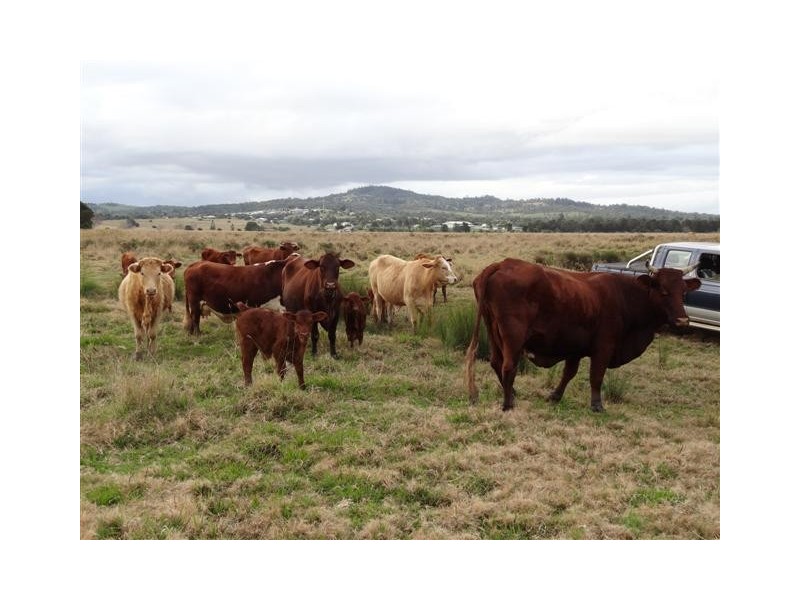 163 Rosewood Laidley Road, Rosewood QLD 4340