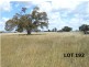 101 – Lot 192 Greenmount Etonvale Rd, Greenmount QLD 4359