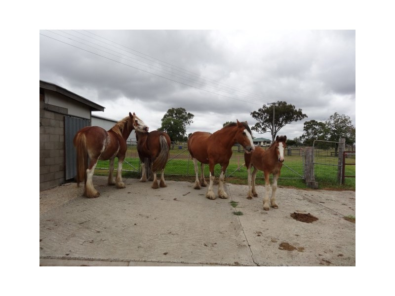 78 Colemans Road, Goombungee QLD 4354