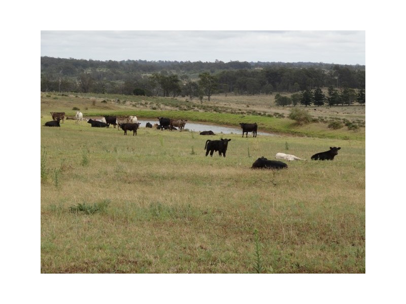 78 Colemans Road, Goombungee QLD 4354