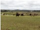 Lot 7 Colemans Road, Goombungee QLD 4354