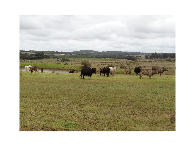 Lot 7 Colemans Road, Goombungee QLD 4354