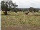 Lot 7 Colemans Road, Goombungee QLD 4354