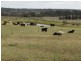 Lot 7 Colemans Road, Goombungee QLD 4354