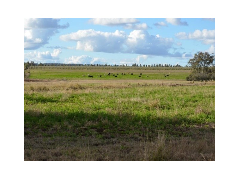 Lot 7 Colemans Road, Goombungee QLD 4354
