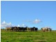Lot 7 Colemans Road, Goombungee QLD 4354