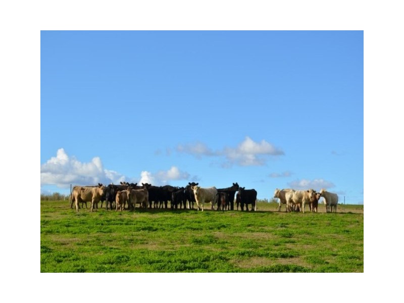 Lot 7 Colemans Road, Goombungee QLD 4354