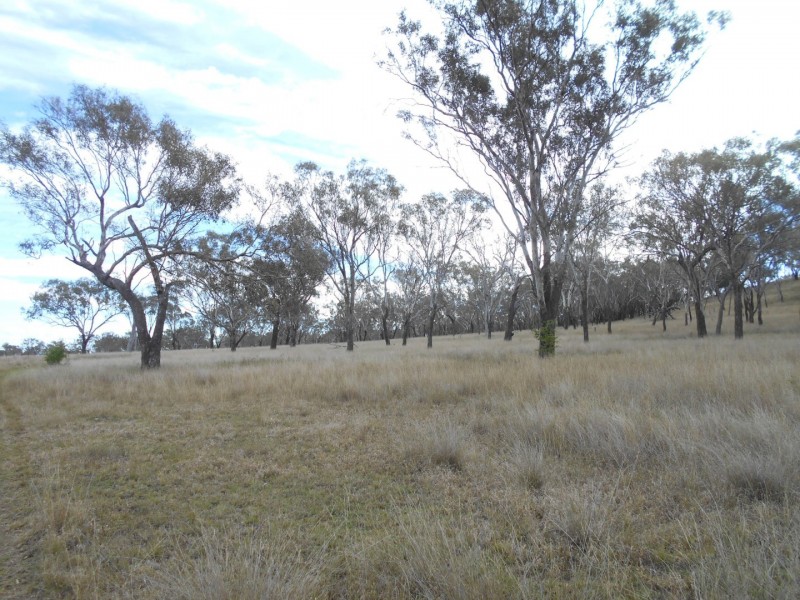 F Drews Road, Linthorpe QLD 4356