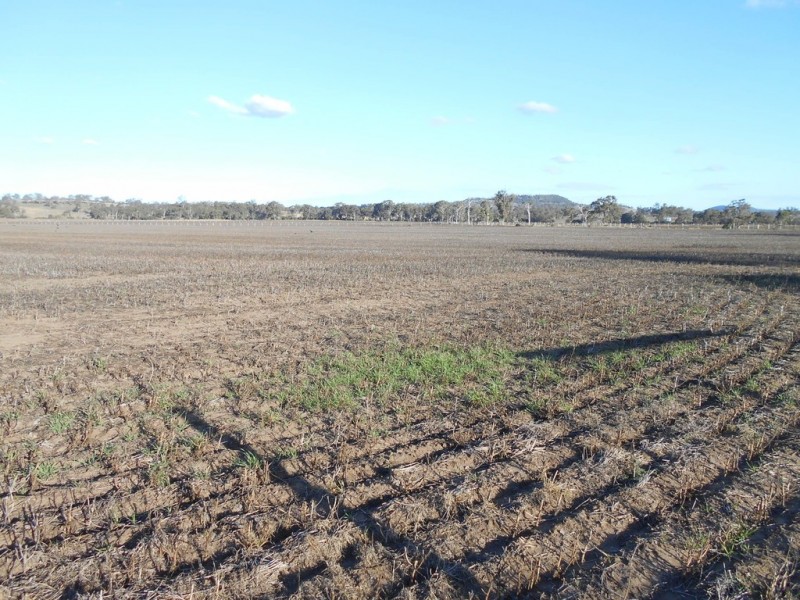 552 Goombungee-Meringandan Road, Muniganeen QLD 4352