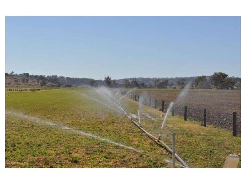 552 Goombungee-Meringandan Road, Muniganeen QLD 4352