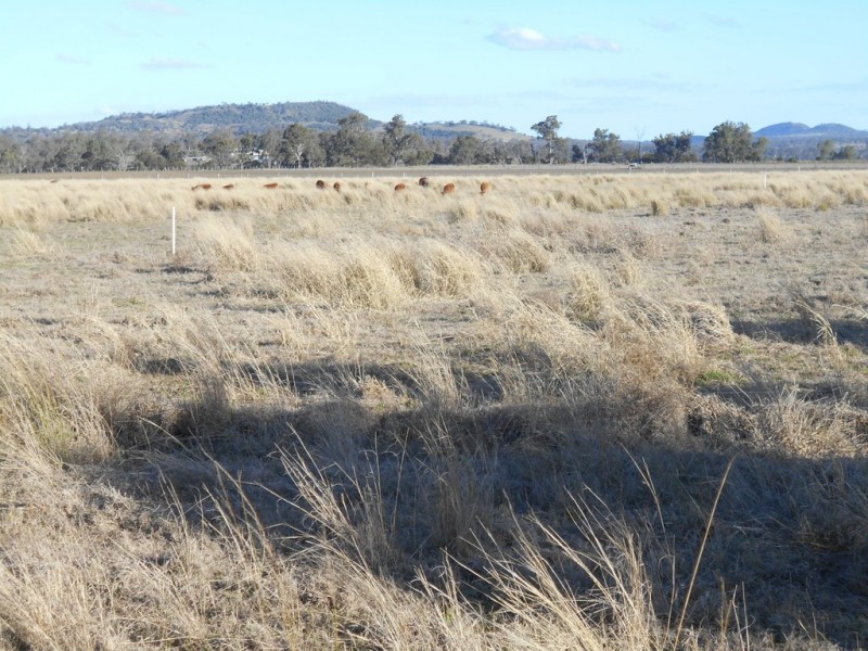 552 Goombungee-Meringandan Road, Muniganeen QLD 4352