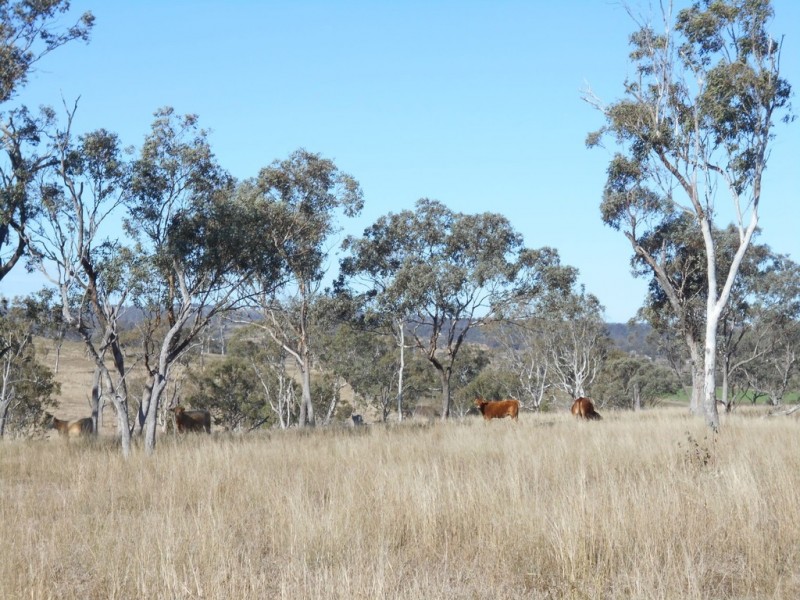552 Goombungee-Meringandan Road, Muniganeen QLD 4352