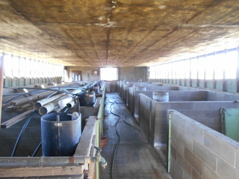 552 Goombungee-Meringandan Road, Muniganeen QLD 4352