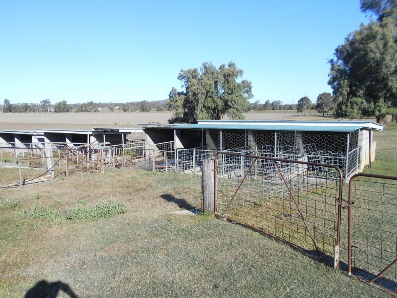 552 Goombungee-Meringandan Road, Muniganeen QLD 4352