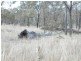 . Kingsthorpe Haden Road, Boodua QLD 4401
